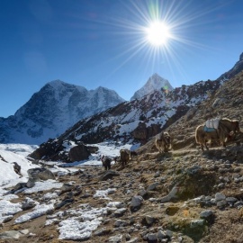 Everest Base Camp Experience 